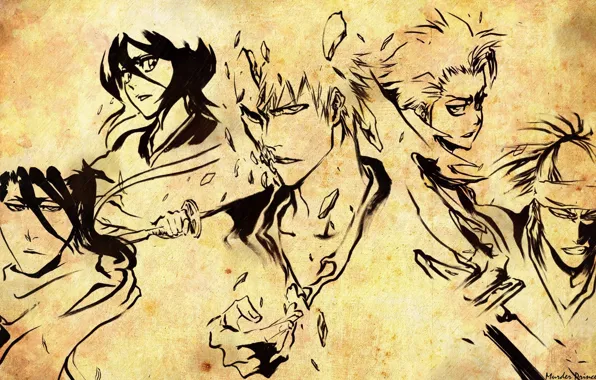 Bleach, bleach, Toshiro Hitsugaya, Kurosaki Ichigo, Abarai Renji, Kuchiki Byakuya, Kuchiki Rukia
