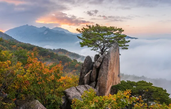 Picture autumn, clouds, landscape, mountains, nature, fog, tree, rocks