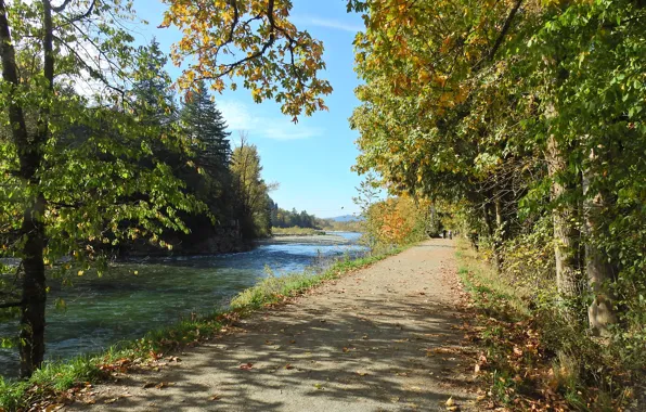 Picture Autumn, Trees, River, Fall, Foliage, Track, Autumn, Colors