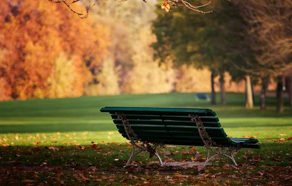Autumn, leaves, bench, nature, Park, mood, Wallpaper, day