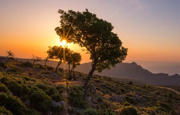 The sky, rays, light, trees, landscape, sunset, mountains, nature