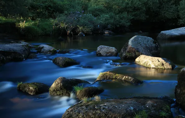 Picture grass, river, stream, stones