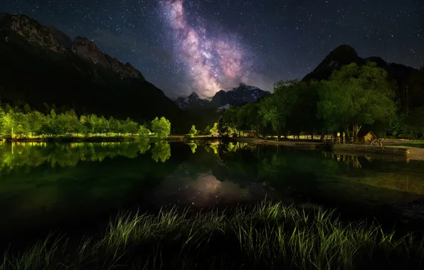 Grass, stars, trees, mountains, night, nature, reflection, shore