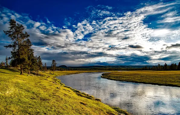 Picture the sky, clouds, trees, river, Wyoming, Yellowstone National Park, Firehole River