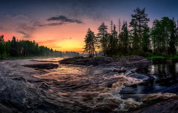 Forest, sunset, river