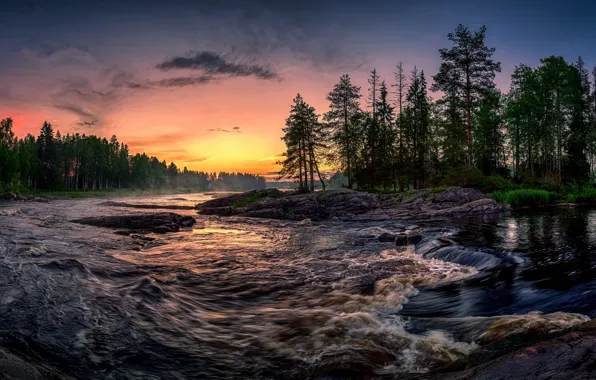 Picture forest, sunset, river