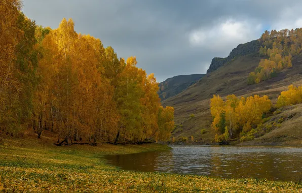 Picture autumn, trees, landscape, mountains, nature, hills, slope, birch