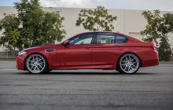 Red, street, bmw, BMW, profile, red, drives, f10