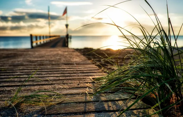 Sea, grass, landscape, sunset, bridge