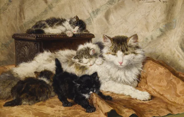 Picture Mom with kittens, The Belgian artist, Cats, Kittens, Henrietta Ronner-Knipe, Picture, Henriette Ronner-Knip