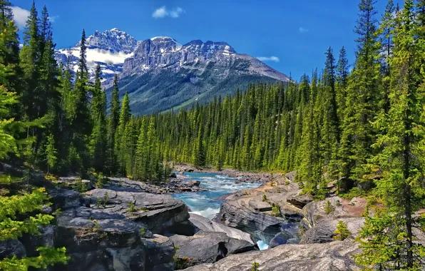 Forest, trees, mountains, river, rocks, Canada, Albert, Alberta