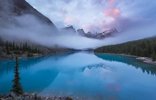 Picture forest, clouds, nature, fog, lake, morning, Canada, Rocky mountains