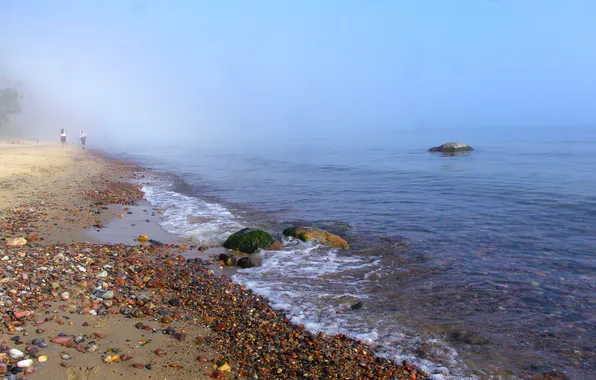 Beach, sea, ocean, water