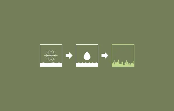 Grass, water, snow, rain, spring, time of the year