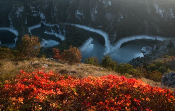 Autumn, landscape, mountains, nature, river, vegetation, Serbia, National Park