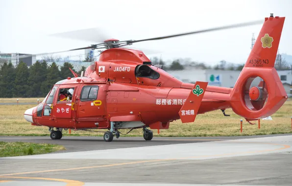 Picture Eurocopter, multi-purpose helicopter, AS365N3, Dauphin 2