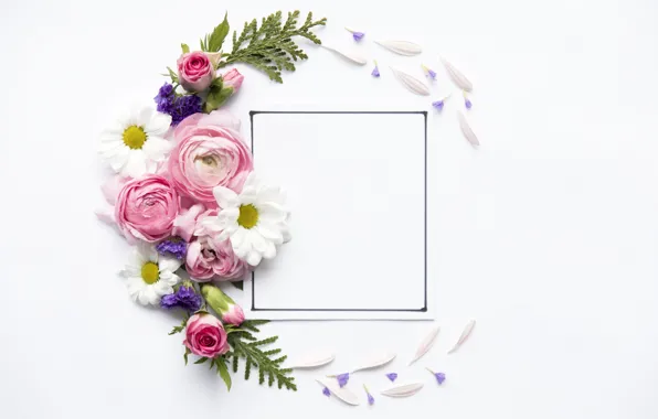 Flowers, roses, petals, Rose, flowers, decor, Leaves, frame