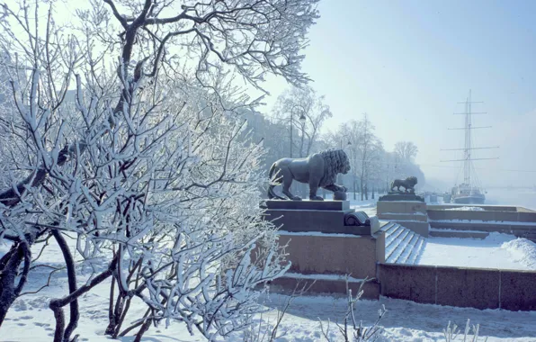 Winter, The city, Snow, Ship, Promenade, Lions, Frost