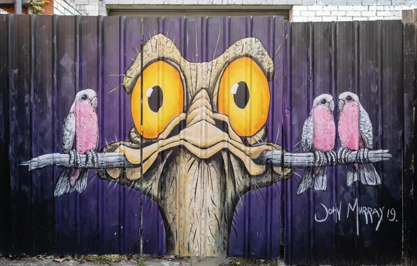 Picture Graffiti, Melbourne, Street Art