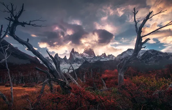 Clouds, mountains, thickets, the bushes, Andes, driftwood, Patagonia, Wallpaper from lolita777