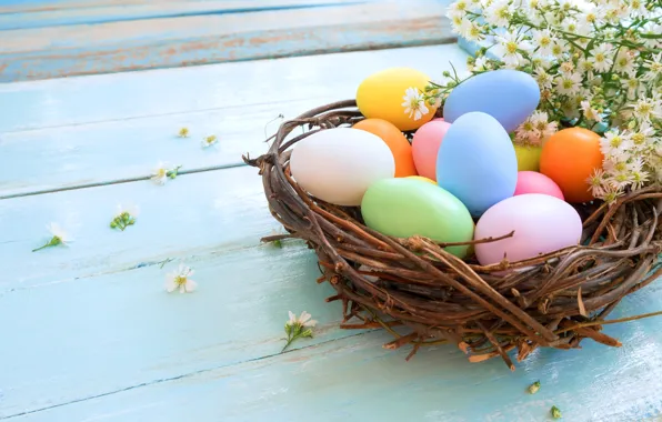 Chamomile, eggs, Easter, socket, Holiday