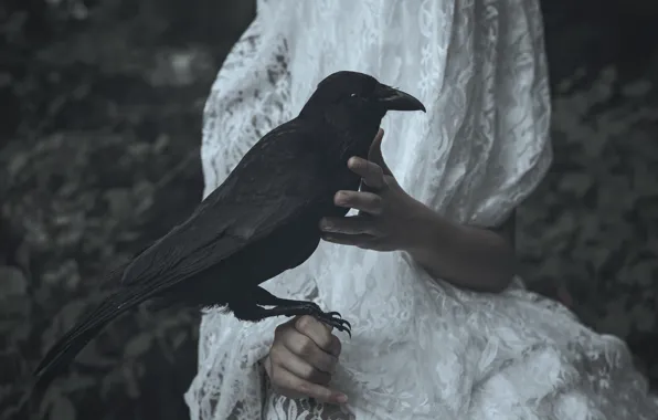 Picture dress, crows, Lucz Anne Fowler