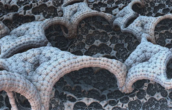 Macro, background, something, 3D graphics