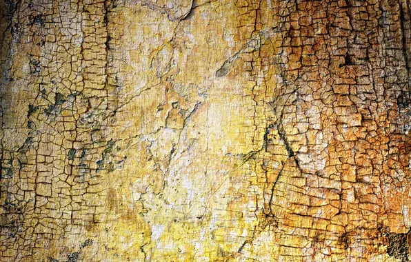 Picture background, wall, color, texture