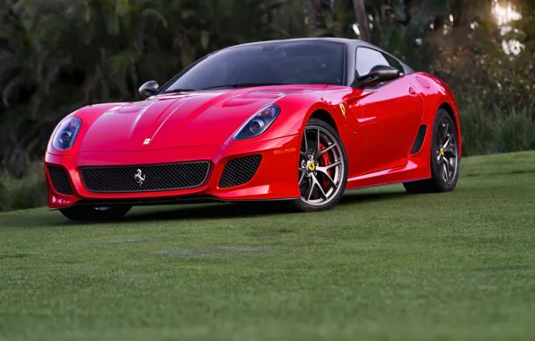 Picture Ferrari, red, 599, GTO, front