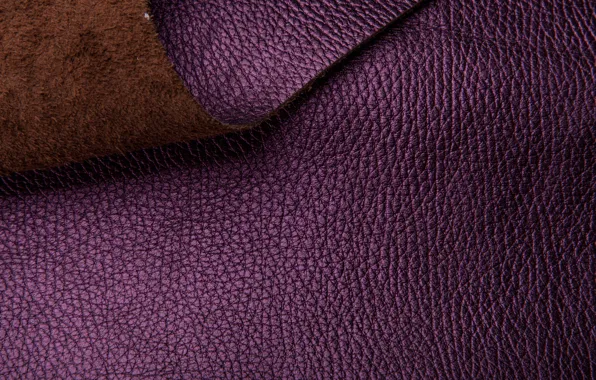 Leather, texture, background, leather, purple