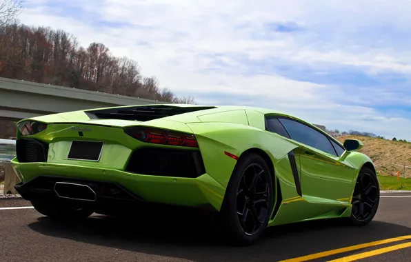 Picture road, the sky, green, back, LP700-4, aventador, Lamborghini Aventador