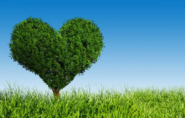 Love, tree, green, heart, love, field, heart, tree