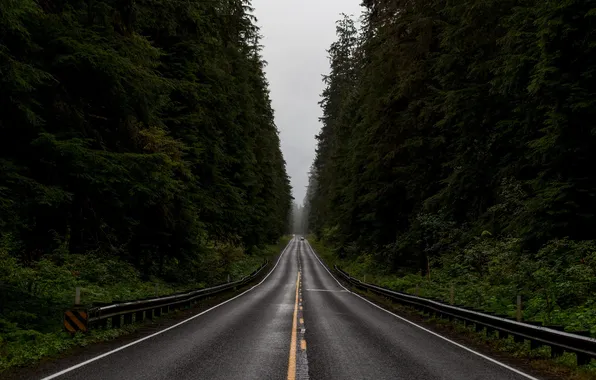 Picture road, forest, the sky, clouds, trees, landscape, nature, track