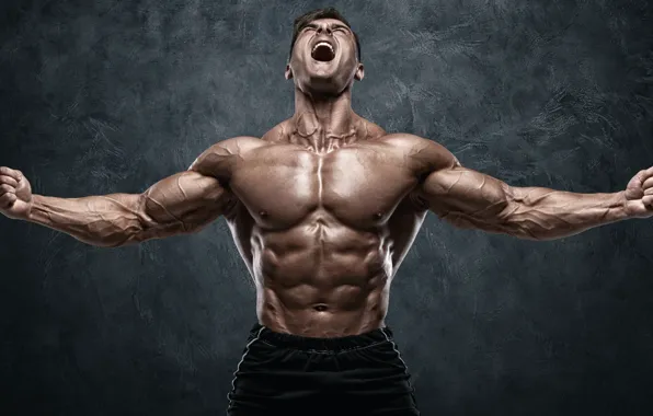 Pose, figure, muscle, muscle, muscles, press, athlete, Bodybuilding
