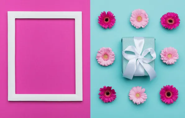 Flowers, background, pink, holiday, box, gift, blue, color