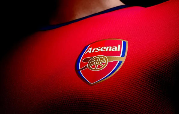 Picture Arsenal, Arsenal, London, Barclays Premier League