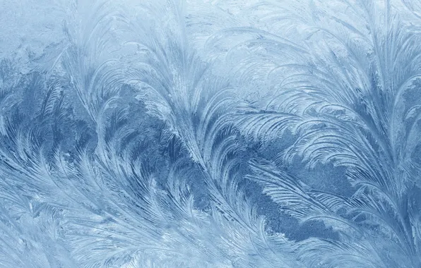 Patterns, window, frost