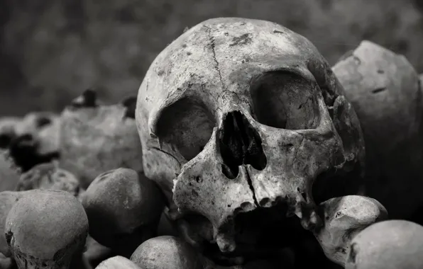 Background, skull, bones