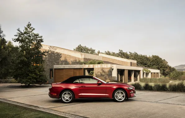 Picture Ford, profile, convertible, 2018, dark red, the soft top, Mustang Convertible