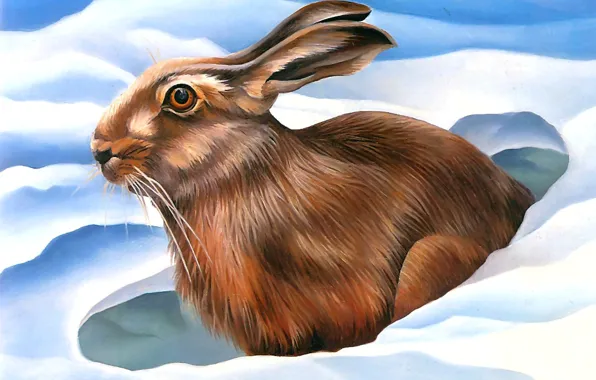 Picture Winter, Rabbit, Snow, Picture, Side, Ears, Canadian artist, Laura Regan