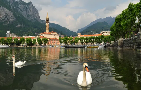 The sky, mountains, the city, Italy, Swan, lake Como, Lombardy, pticu
