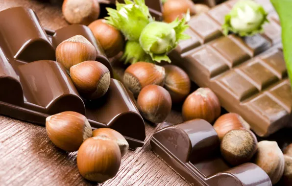Chocolate, nuts, shell, tiles, hazelnuts