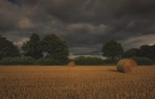 Field, hay, bales, straw, bales