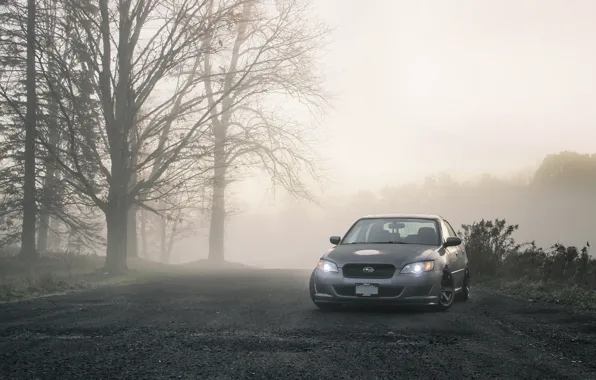 Road, trees, tree, cars, subaru, Subaru, legacy, fogs