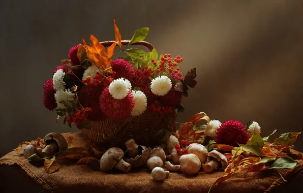 Autumn, leaves, flowers, berries, basket, mushrooms, still life, Rowan