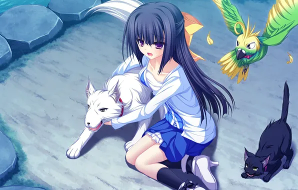 Picture anime, art, girl, lunaris filia