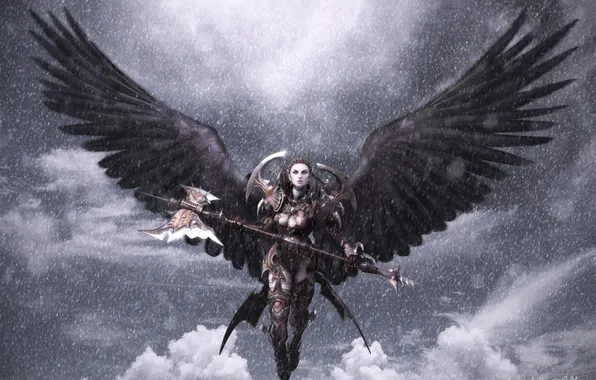 Picture girl, clouds, snow, wings, armor, warrior, Aion, axe