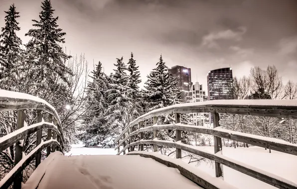 Night, the city, Park, Calgary