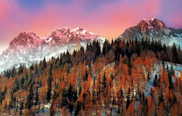 Winter, snow, trees, mountains, Italy, Lombardy