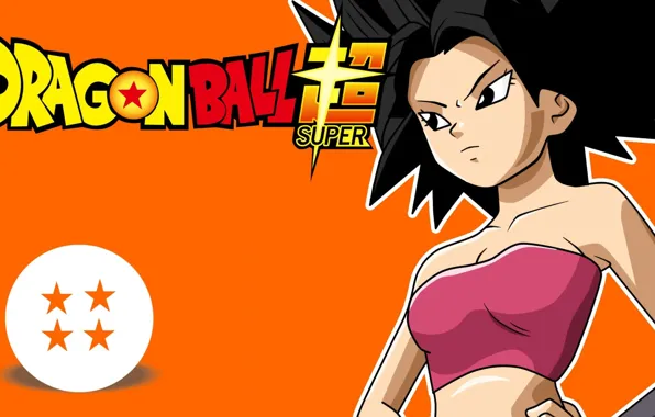 DBS, game, anime, asian, manga, Dragon Ball, Dragon Ball Super, japonese